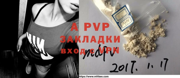 PSILOCYBIN Богородицк