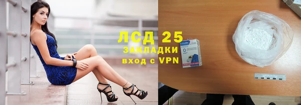 винт Богданович