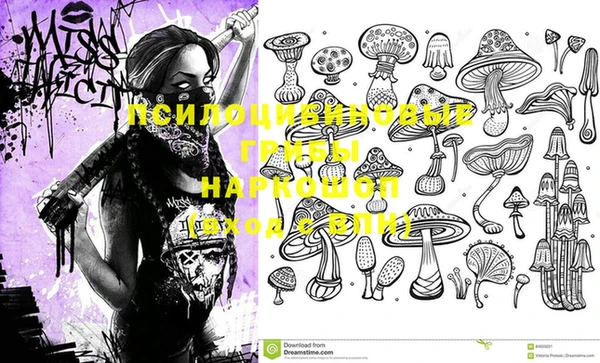 винт Богданович