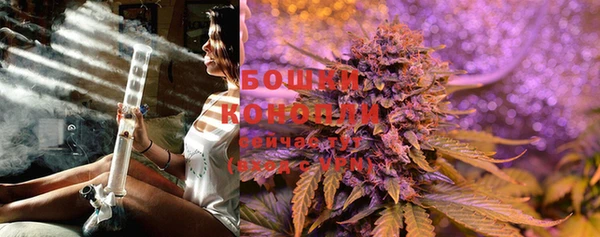 винт Богданович