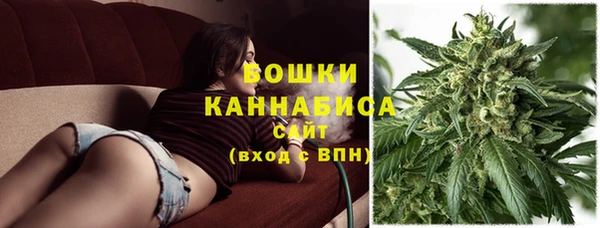 винт Богданович