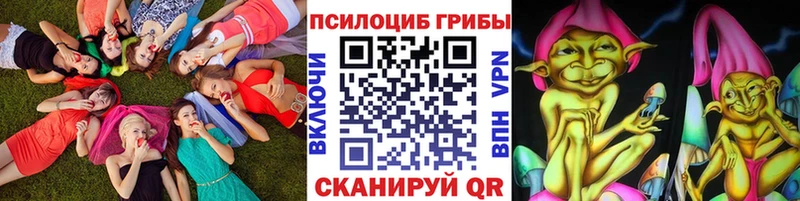 Галлюциногенные грибы Psilocybe  наркотики  Сланцы 