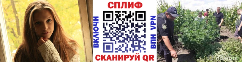 где можно купить наркотик Сланцы Канабис гибрид